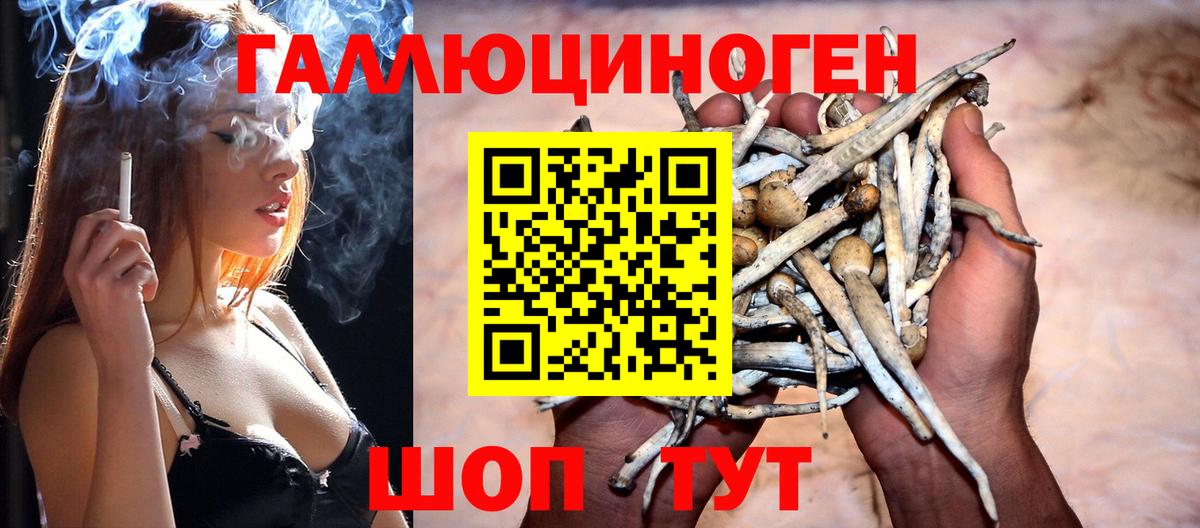 Псилоцибиновые грибы мицелий Бугуруслан