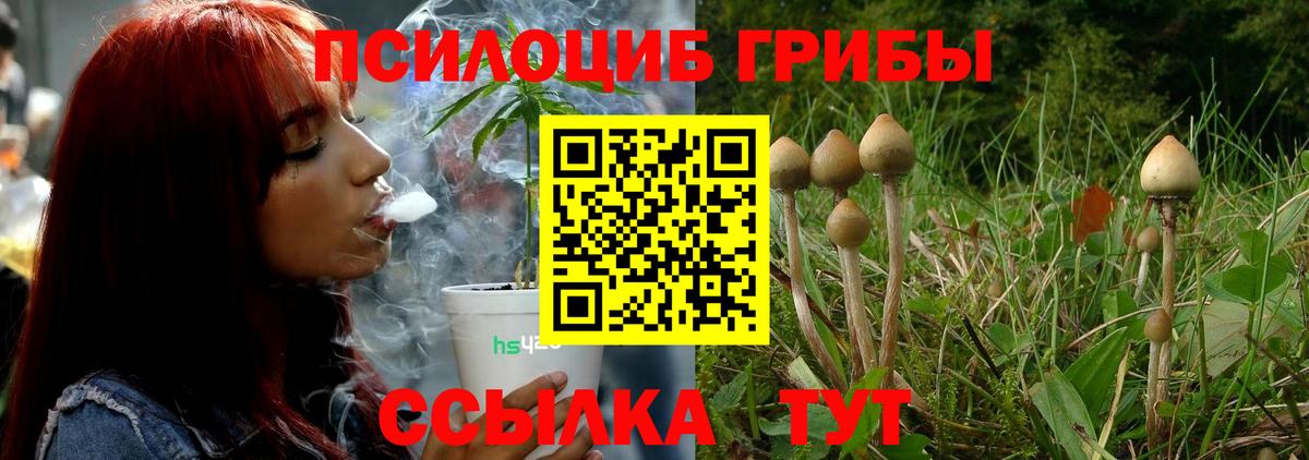 Псилоцибиновые грибы Magic Shrooms  Псилоцибиновые грибы GOLDEN TEACHER  Вход с VPN  купить закладку  Бугуруслан 